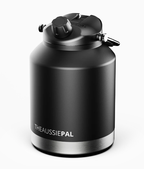 Insulated Water Bottle