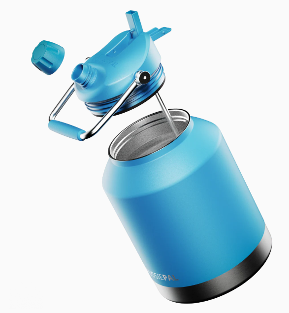 Insulated Water Bottle