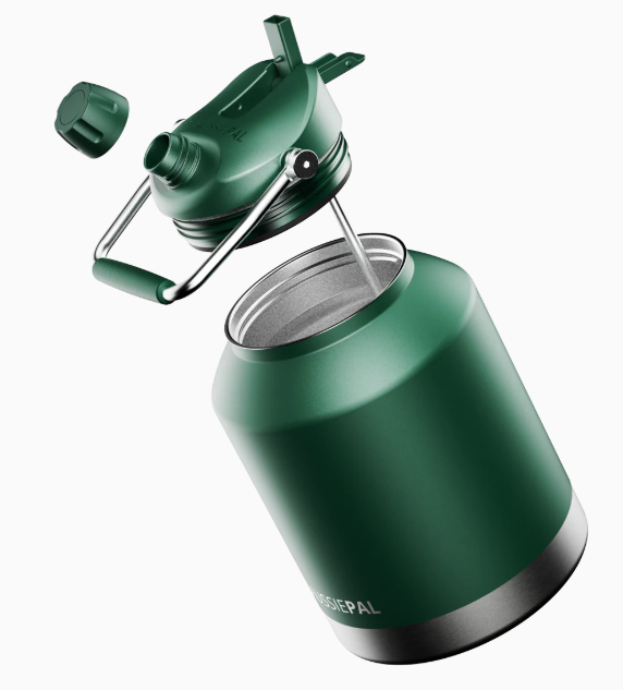 Insulated Water Bottle