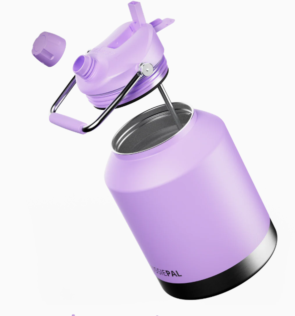 Insulated Water Bottle